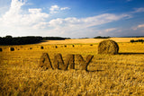 Harvesting Hay / 100685