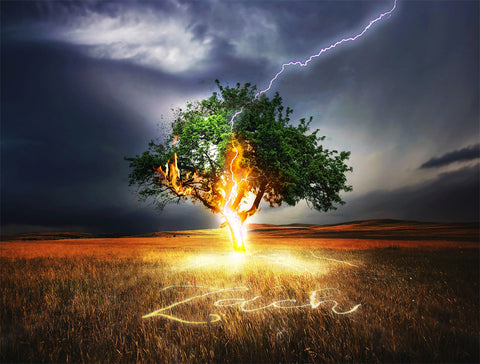Lightning Bolt / 100825