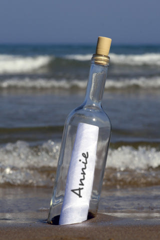Message In a Bottle Standing On Blurry Sea Shore / 100528