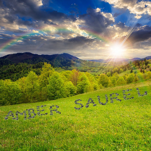 Rainbow Above a Grassy Hill / 100715