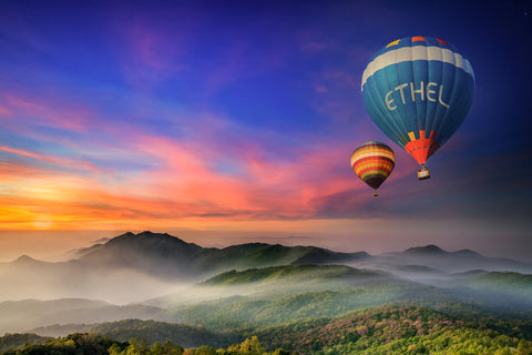 Two Hot Air Balloons / 100712