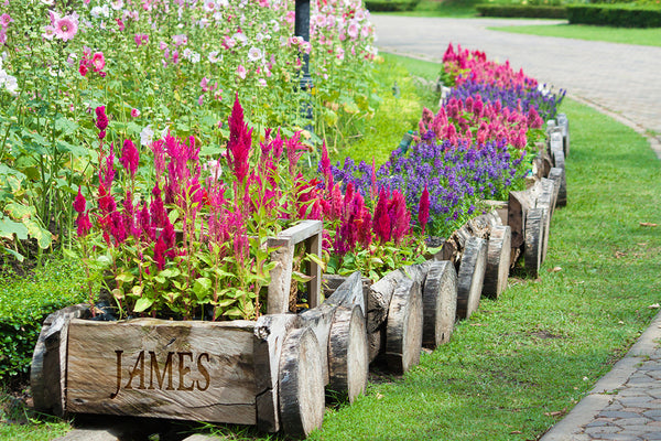 新製品情報も満載 Wooden_Flower_Cart_James_LowRe トラック