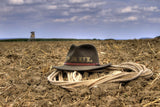 Cowboy Hat / 100736