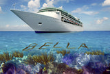 Cruise the Caribbean Reef / 100705