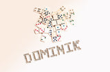 Domino / 100788