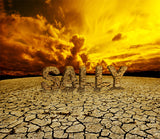 Dry Cracked Earth / 100713