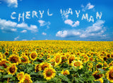 Field Of Sunflowers / 100714
