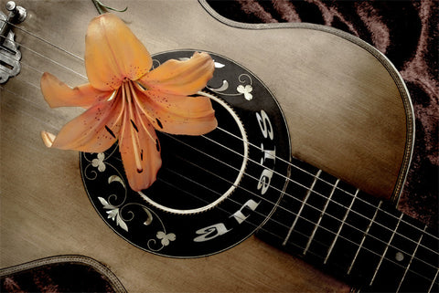 Flower On Guitar / 100638