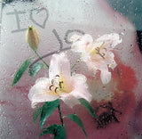 Flowers in the Window / 100862