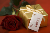 Golden Gift and Rose Closeup / 100494
