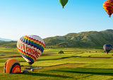 Hot Air Balloon in Field / 100776