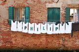 Laundry on the Line / 100741