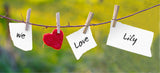 Love Notes On Branch / 100559