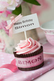 Pink Birthday Cupcake With Sign / 100665