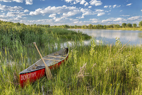 Red Canoe in a Marsh / 100774