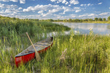 Red Canoe in a Marsh / 100774