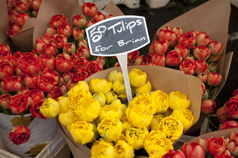 Tulips for Sale / 100757