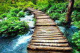 Wooden Walkway / 100781