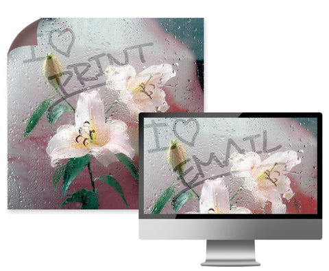 FLOWERS IN THE WINDOW Print & Email Bundle
